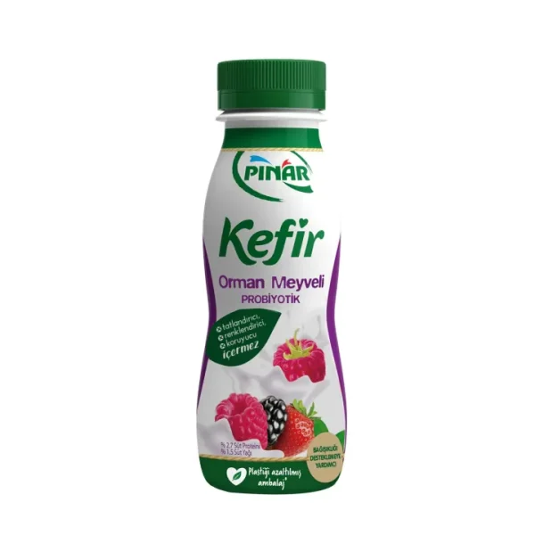 PINAR KEFİR ORMAN MEYVELİ 1/5